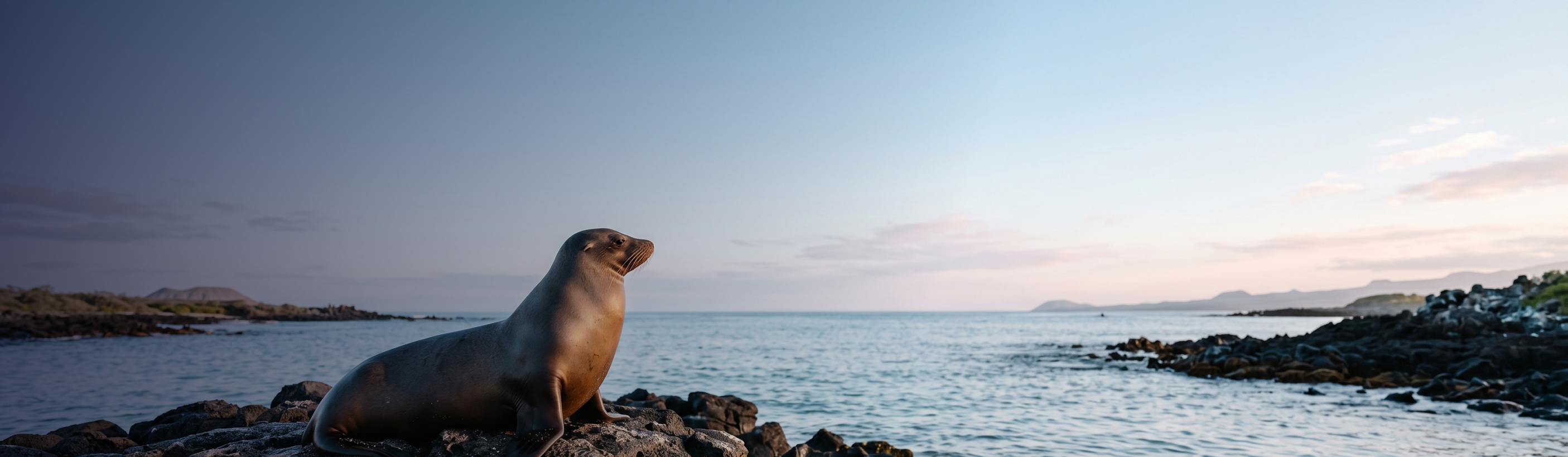 A photo of San Cristóbal  Galápagos.